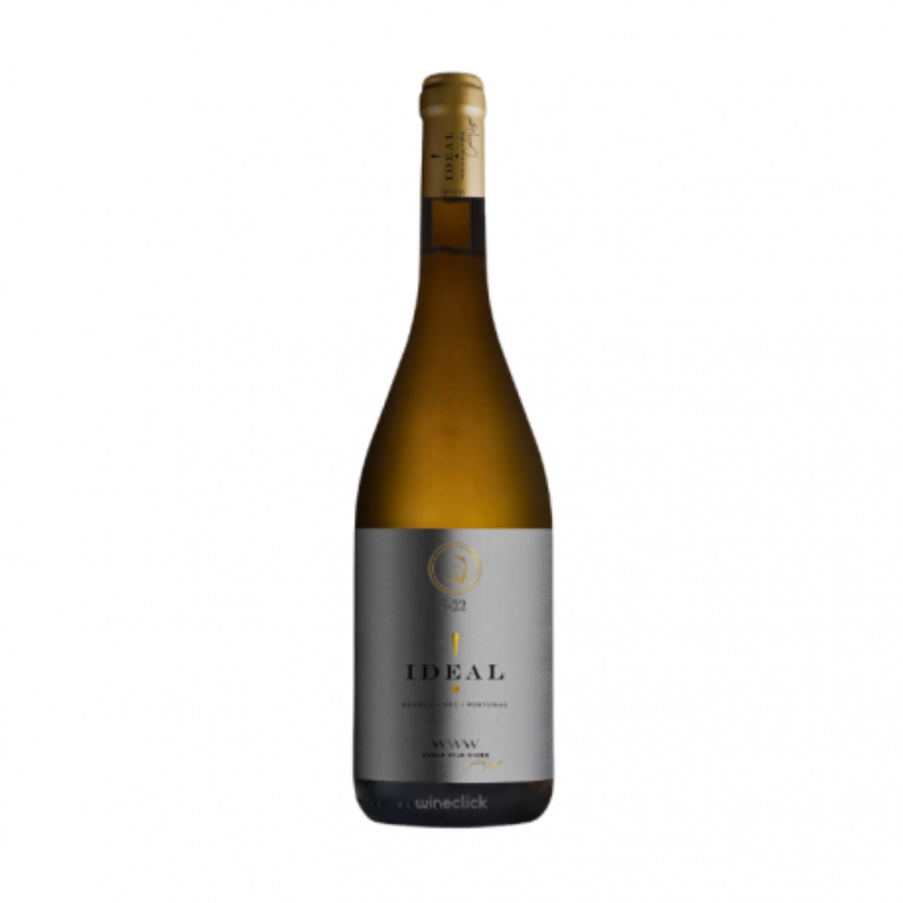 Ideal White 2023