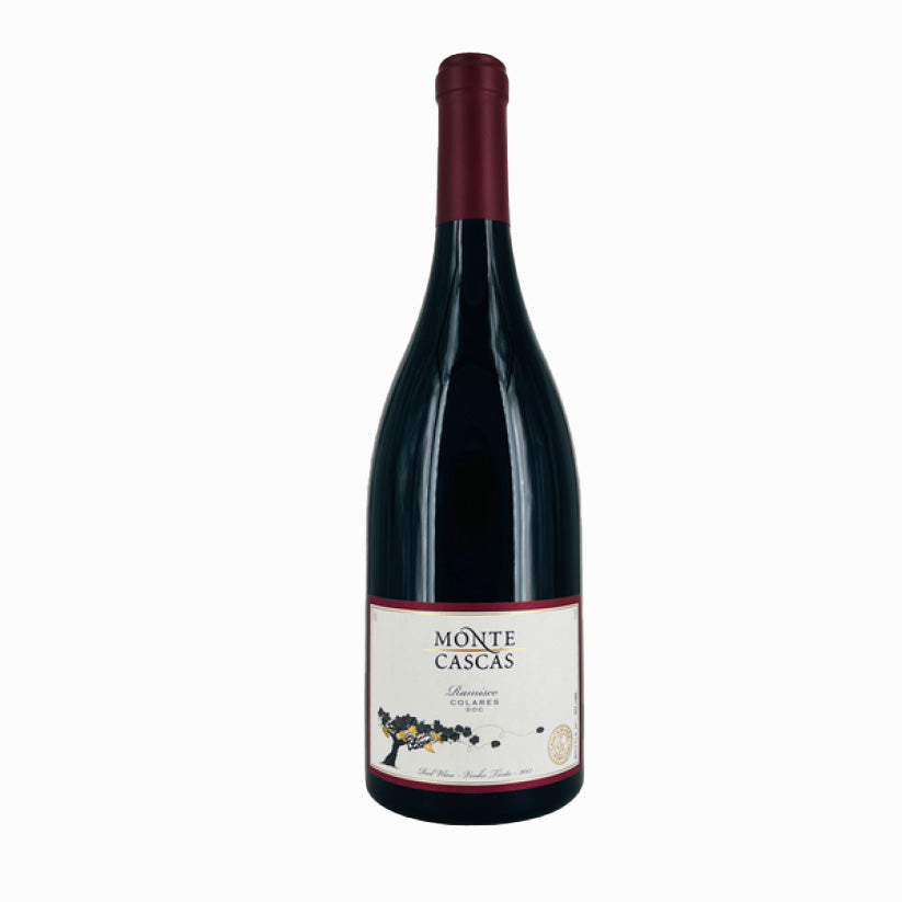 Monte cascas - Ramisco from Colares 2013